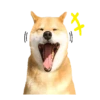 Responde como perro  Mov 23