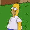 🟡HOMERO SIMPSON1🟡 8