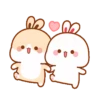 Lovely rabbit 5