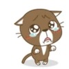 miau Mov 6