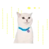 Michis 5