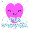 QueLindo 13