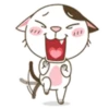 miau Mov 9
