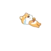 Single Dog 8