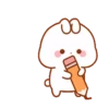 Lovely rabbit 9