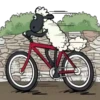 Shaun the Sheep mov 13