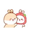 Lovely rabbit 11