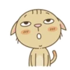 miau Mov 11
