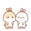 Lovely rabbit 12