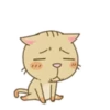 miau Mov 12