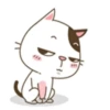 miau Mov 13
