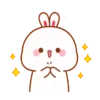Lovely rabbit 13