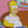 🟡HOMERO SIMPSON1🟡 18
