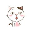 miau Mov 14