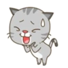 miau Mov 15