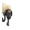 Shaun the Sheep mov 19
