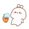 Lovely rabbit 15