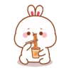Lovely rabbit 16