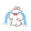 Lovely rabbit 17