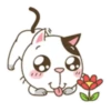 miau Mov 16
