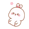 Lovely rabbit 18