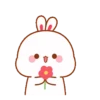 Lovely rabbit 19