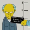 Montgomery Burns 28