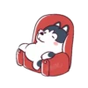 HUSKY. mov. 12