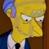 Montgomery Burns 29