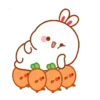Lovely rabbit 23
