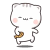 KITTEN 5
