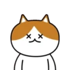 Gatos amigos 5