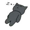 🐈‍⬛Indifferent black cat🐈‍⬛ Mov 6