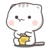KITTEN 8