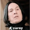 Harry Potter 7