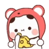 Panda 13 6