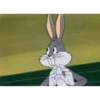 BUGS BUNNY MEMES.MOV 5