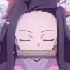 NEZUKO(DEMON SLAYER) 9