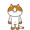 Gatos amigos 8