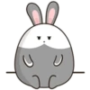 chubby Rabbit Mov 5