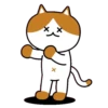 Gatos amigos 9