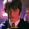 Harry Potter 8