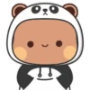Panda 13 9
