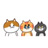 Gatos amigos 11
