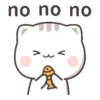 KITTEN 14