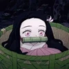 NEZUKO(DEMON SLAYER) 16