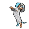 Dachshund🐶🤎.MOV 13