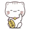 KITTEN 15