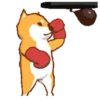 Shiba Boxing Club Mov 5
