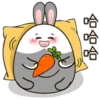 chubby Rabbit Mov 7